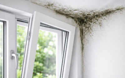 Muffa in casa? Cause, conseguenze e come i serramenti giusti possono risolvere il problema